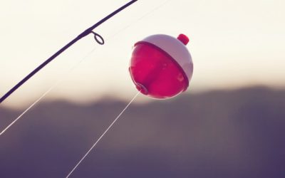 Create Your Niche to Launch Your Hospitality Career and Leave the Field Behind